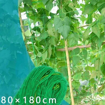£5.57 • Buy Trellis Garden Climbing Netting Plant Support Nylon Mesh Green Bean Cucumber Net