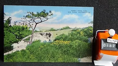 STD Vintage Torrey Pines Park Near La Jolla San Diego California Unposted Linen • $1.99