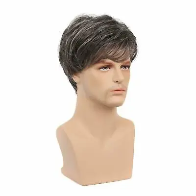 Men Male Brown Mixed White Natural Mid Age Short Wig Straight Synthetic Hair • $14.99