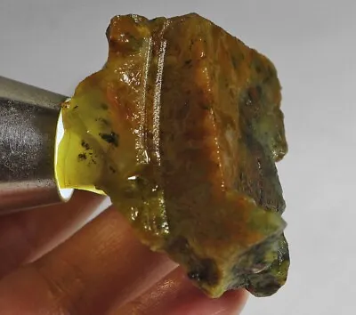 231Ct Natural Mexican Yellow Fire Moss Opal Facet Rough Specimen YYC533 • £0.78