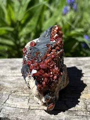 Large Vanadinite Mineral Specimen- Natural 2.7” Vibrant Red Vanadinite Cluster • $69.95