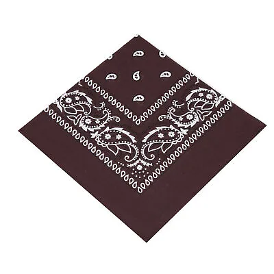 USA Seller 100% Cotton Paisley Bandanas 22 X22  Scarf Head Neck Bandannas • $3.98