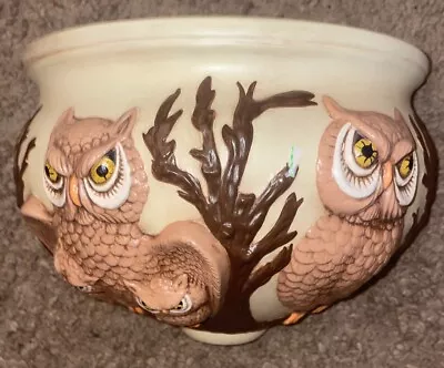 Vintage Owl Wall Planter • $9.99