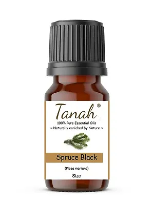 $64.50 • Buy SPRUCE (BLACK) Essential Oil (Picea Mariana) Tanah 100% Pure Aromatherapy Oils 
