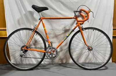 Vintage 1970s Eddy Merckx Molteni 59cm C-C Lugged Steel 10-Speed Road Bike LOOK • $799.95