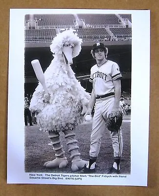Detroit Tigers' Mark  Fidrych Photo With Big Bird At Yankee Stadium 8-04-1976! • $12