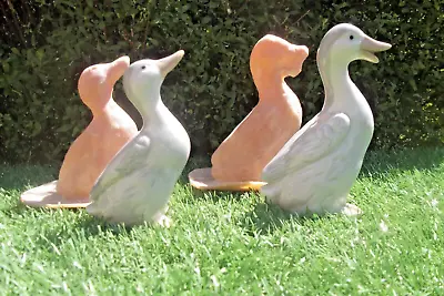 Pair Of Ducks Latex Mould Moulds Mold Molds • £15