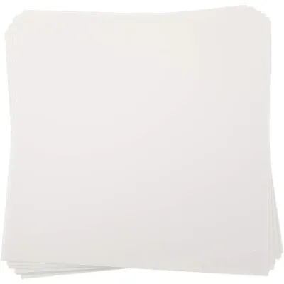 Translucent Vellum Paper (12 X 12 In 100 Sheets) • $19.89