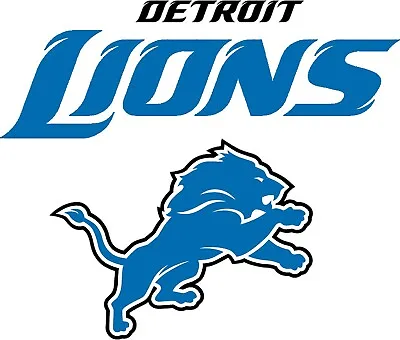 Detroit Lions Iron On Transfer For T-Shirt + Other Light & Dark Fabrics #3 • $5