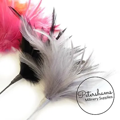 Fluffy Goose Biot & Hackle Feather Hat Mount Trim For Fascinators And Hat Making • £3