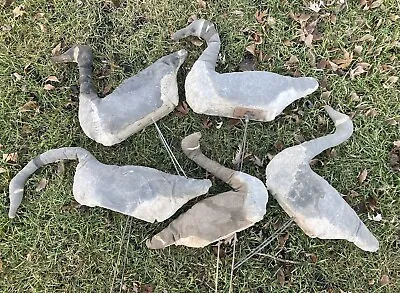 Five Vintage Straw Stuffed Canvas Covered Canadian Goose Stand Up Field Decoys • $153.66