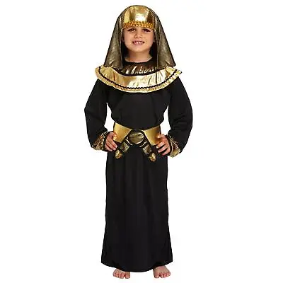 Boys Egyptian Pharaoh Costume Childrens Fancy Dress Small 4-6 Years • £9.99