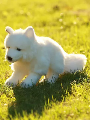 Arctic Fox Plush Stuffed Animal Plush Toy Cuddlekins 12 Inches • $15