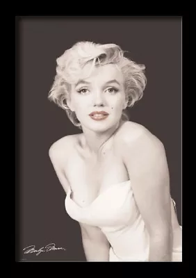 MARILYN MONROE RED LIPS 13x19 FRAMED GELCOAT POSTER ICONIC MODEL GIFT BEAUTIFUL! • $34.99