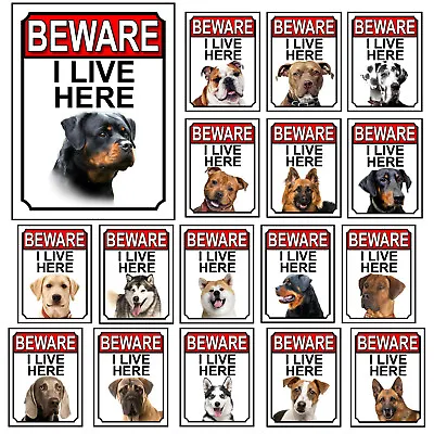 Dog Breed Gate Signs Beware I Live Here Metal Tin Signs Garden Yard Fence  • £4.68