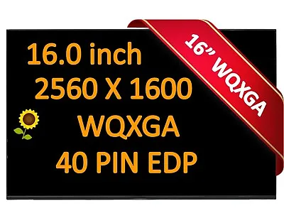 16  LCD Screen Lenovo Legion S7 16IAH7 82TF 165HZ LED LCD Display 40 Pin 82JF • $119.99