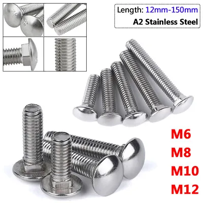 Cup Square Bolt Carriage Bolts Coach Bolt Screws M6 M8 M10 M12 GB12 A2 Stainless • $1.19