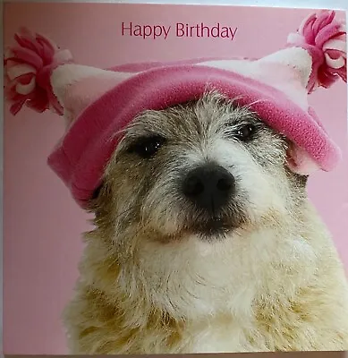 Jack Russell Terrier Cross Dog In Pink Woolly Hat Birthday Greetings Card  • £2.15