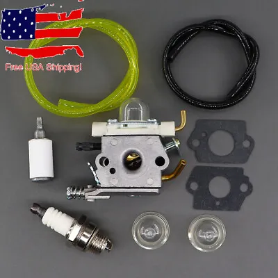 Carburetor For Echo PB-250 Leaf Blower Rep Walbro WTA-33-1 Fuel Line Gasket Kit • $14.15