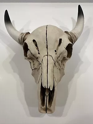 Decorative Bovine Skull • $34.99