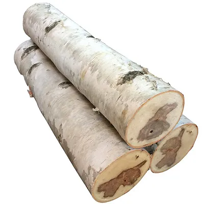 $39.95 • Buy Large White Birch Fireplace Log Set Of Three