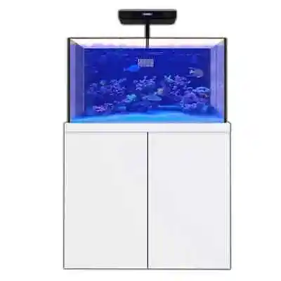 100 Gallon Coral Reef Aquarium Tank With Ultra Clear Glass And Built In Sump • $3899