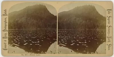 MINNESOTA SV - North Shore - Mirror Lake - Caswell & Davy 1870s • $31