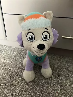 £2 • Buy Paw Patrol Plush Toy Everest Teddy Spinmaster Nickelodeon
