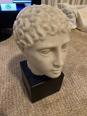 Roman Cast Marble Head Sculpture Julius Caesar Metropolitan Museum Of Art • $3.68