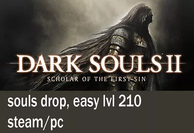 Dark Souls 2 Soft - Stater Pack Level 210 Easy Steam/pc • $6.50