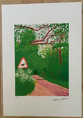 David Hockney (After)  Untitled (Horse Crossing)  Limited Edition O/S Lithograph • £130.16