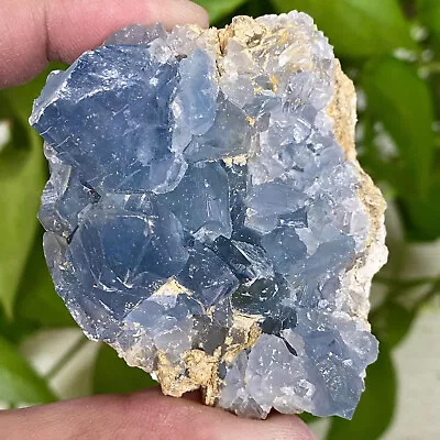 247G Top Natural Blue Crystal Cave Quartz Crystal Cave Mineral Specimens • $5.50