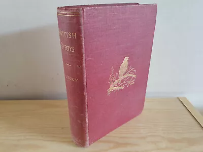 £16.99 • Buy W. H. HUDSON British Birds - 1906 New Impression