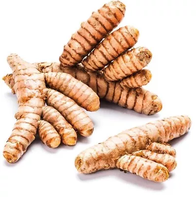 Fresh Organic Turmeric Root 200gm | 500gm | 1kg | 2kg Haldi Roots Class I • £25.99