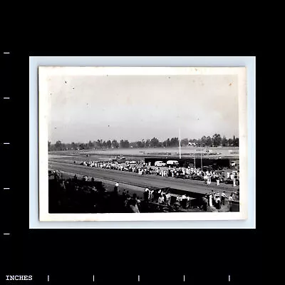 Vintage Photo CARS ON RACETRACK • $20