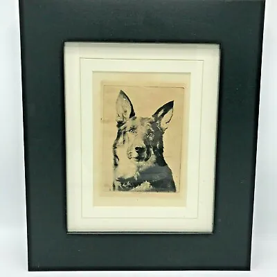Original Pencil Drawing Morgan Dennis Etching Signed Dog German Shepherd Pup  • $225