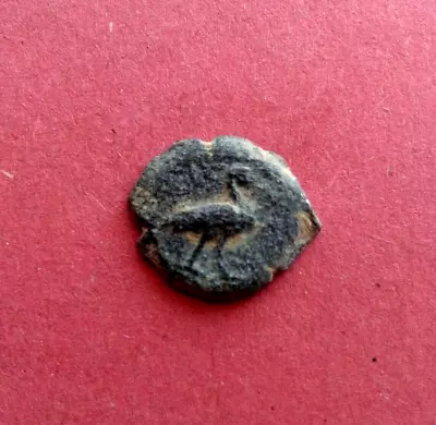 Roman Provincial Æ Dichalkon *Ibis-Crocodile* 1st Cent AD 1.8g-17mm RARE • $3.74