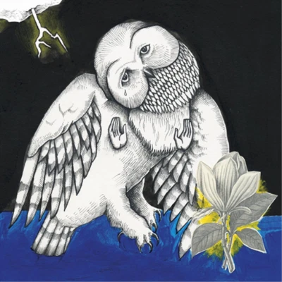 £32.60 • Buy Songs: Ohia Magnolia Electric Co.. (Vinyl) (US IMPORT)