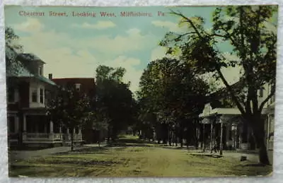 1914 Postcard Chestnut Street Looking West Mifflinburg Pennsylvania #9 • $9.99