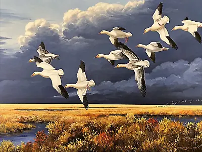 Maynard Reece  Dark Sky - Snow Geese  Limited Edition Hand-Signed Print #272/950 • $136.50