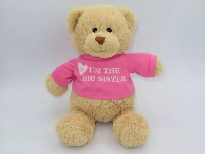 I'm The Big Sister T-Shirt Teddy Bear Plush Pink Stuffed Animal 12” Soft Toy • $7.99