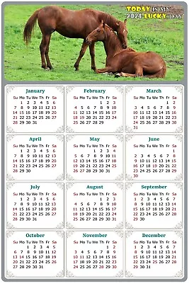 2024 Magnetic Calendar - Today Is My Lucky Day - Horses Themed 019 (7 X 10.5) • $11.99