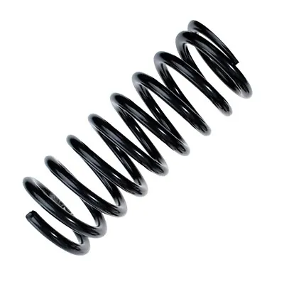 Rear Chassis Spring R20981 For Mercedes-Benz GLA 2463242504 - A2463242504 - 87 • $35.06