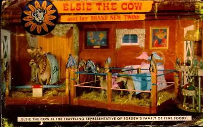 Rare Elsie The Cow & Her Twins Postcard With Metal Button Pin On Front Bk62 • $12