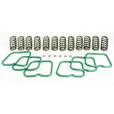 PacBrake Basic Valve Spring Kit (12 Springs) For 1994-1998 Dodge 5.9l Cummins • $226.29