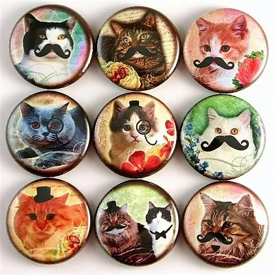 Cat Kitty Funny Humor Vtg Mustache Pet Fridge Magnet Pin Badge Button Cab Charm • $11.50