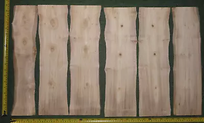 Waney Edge Boards Of Sycamore Wood For Art / Craft / Pyrography • £5