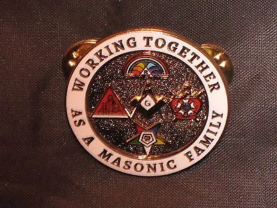 Masonic Family Lapel Tac Pin Demolay Rainbow Girls OES Job's Daughters NEW! • $9.95