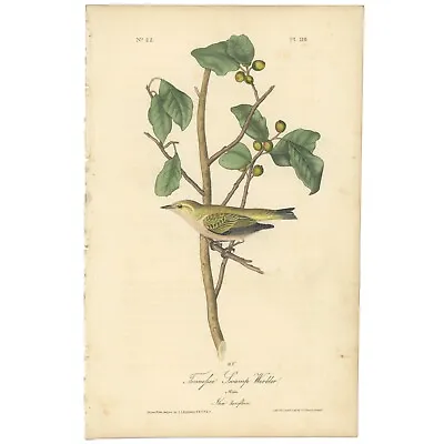 Audubon Birds Octavo 1st Ed 1840 H/c Lithograph Pl 110 Tennessee Swamp Warbler • $89