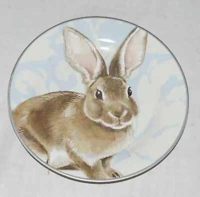 Williams Sonoma 7.7/8 Inches Rabbit Salad Plate • $15